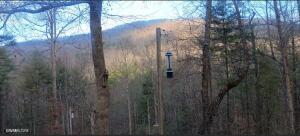 132 Sugar Maple Way Del Rio TN 37727