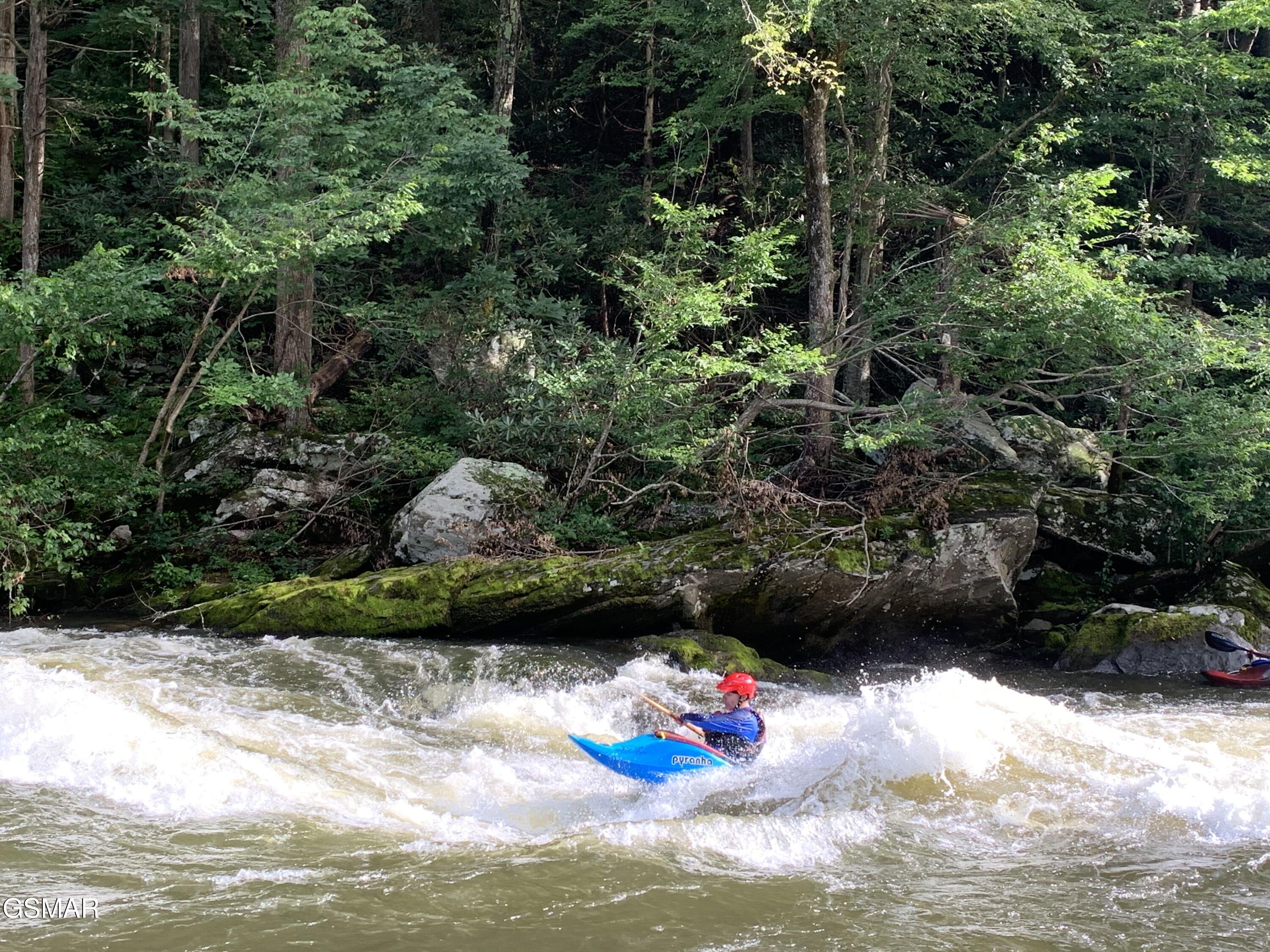 132 Sugar Maple Way Del Rio TN 37727