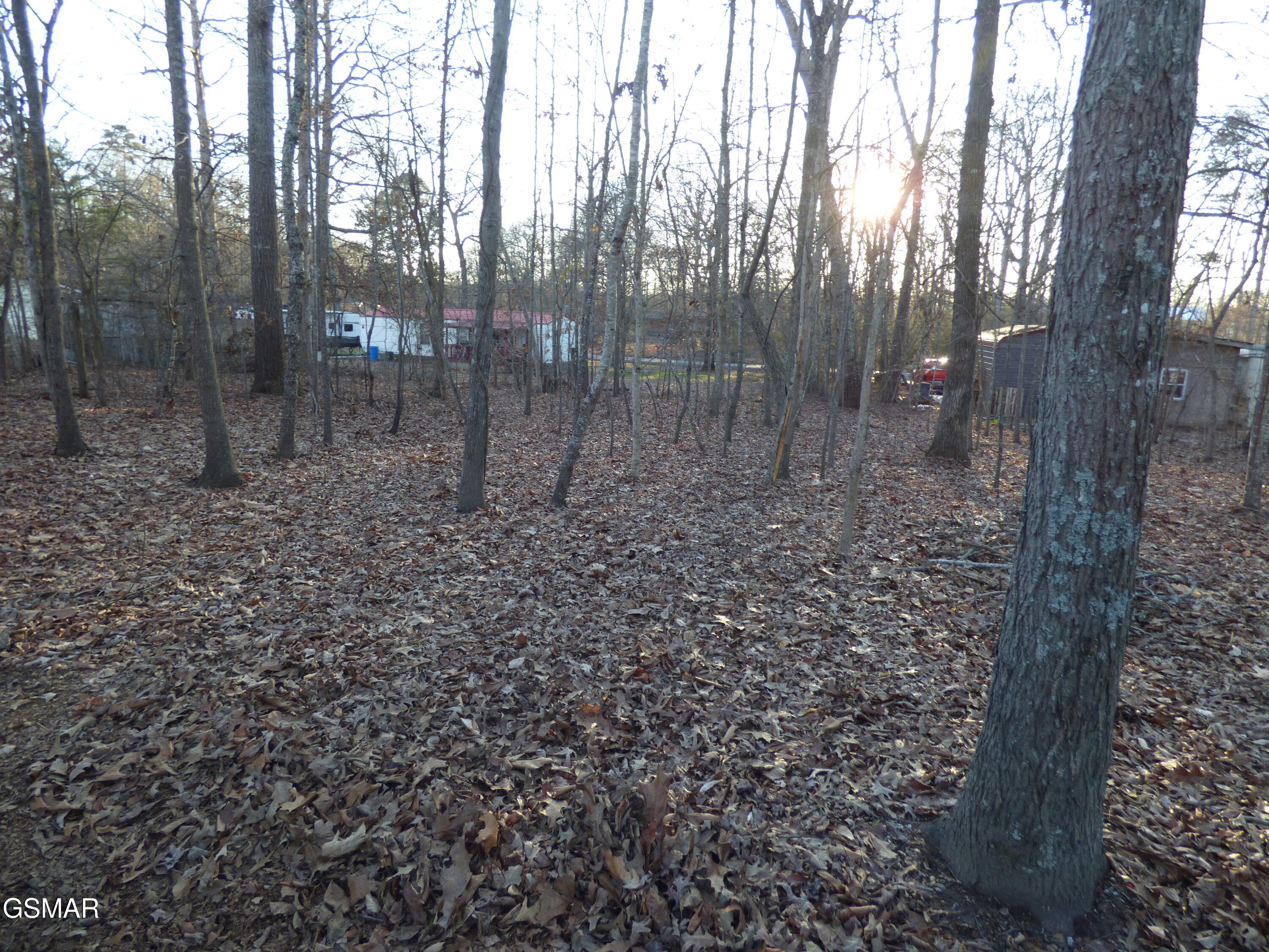 1369 Waterfront Drive Dandridge TN 37725