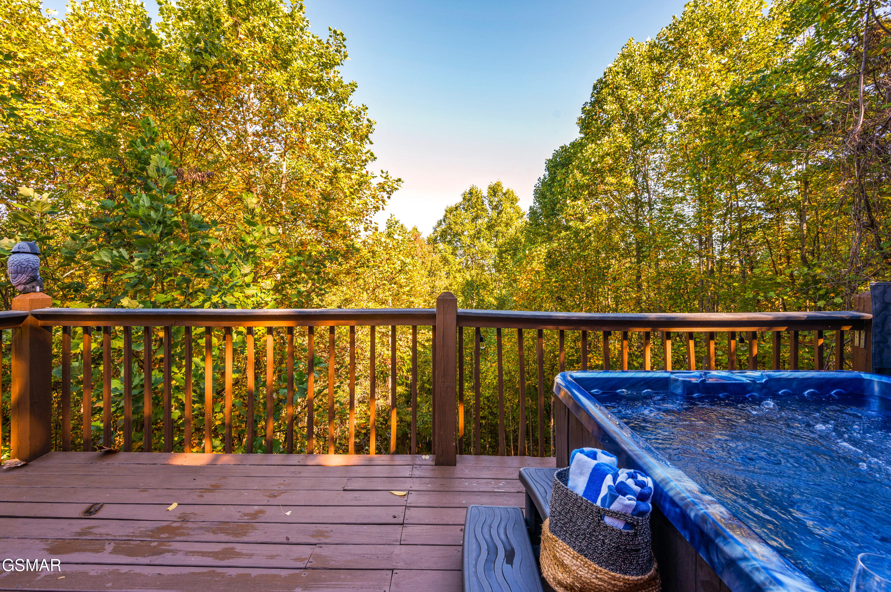 2461 Shady Creek Way Sevierville TN 37862