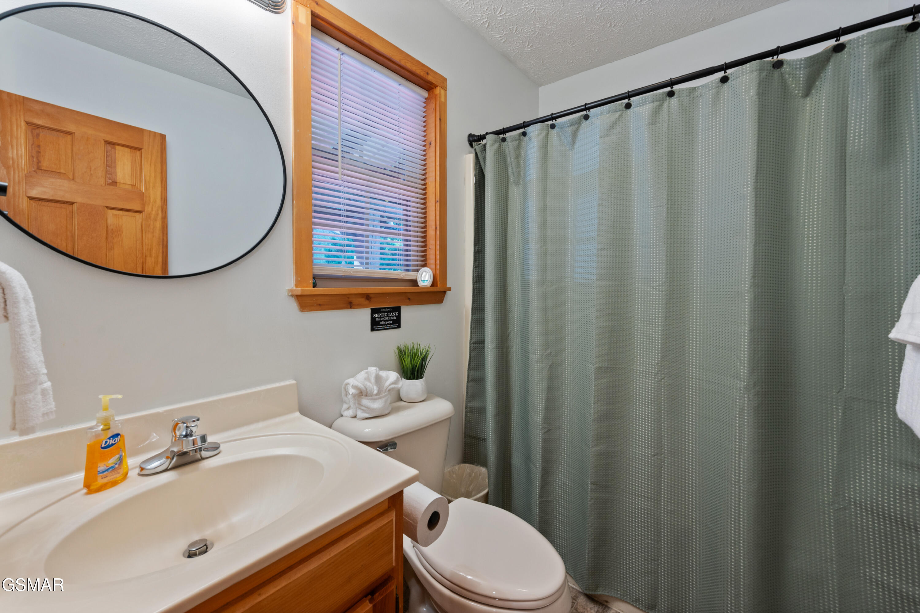 2461 Shady Creek Way Sevierville TN 37862