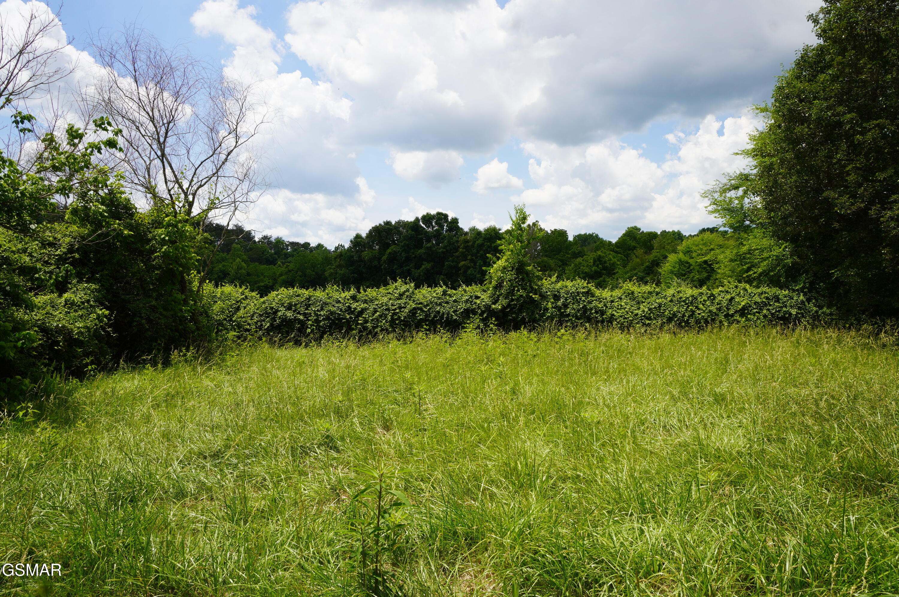 160 Kate Riley Lane Mosheim TN 37810