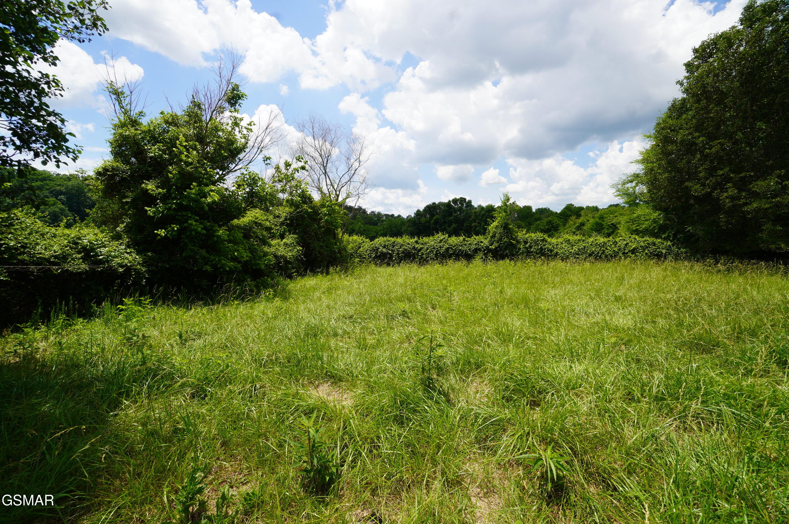 160 Kate Riley Lane Mosheim TN 37810