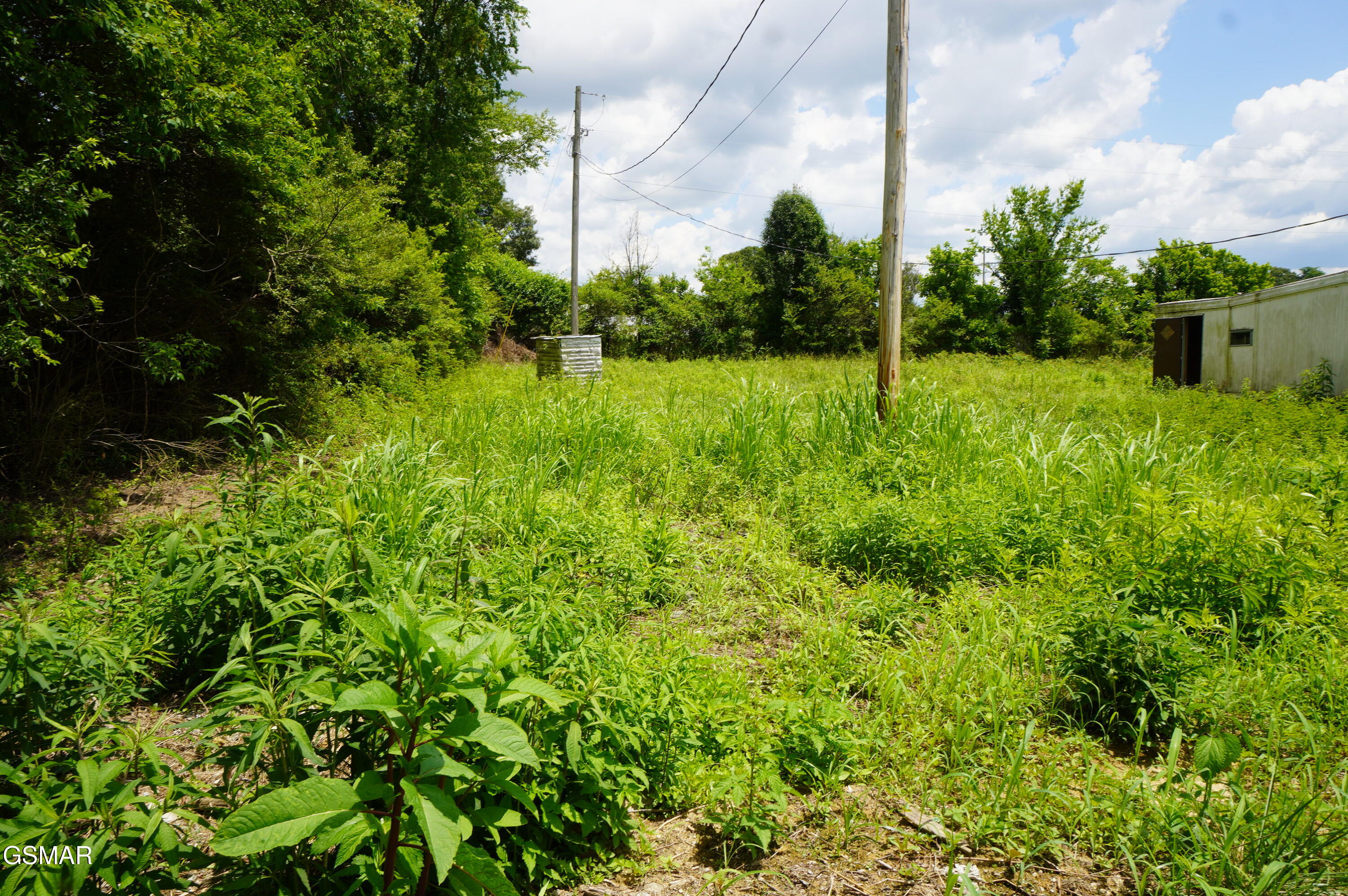 160 Kate Riley Lane Mosheim TN 37810