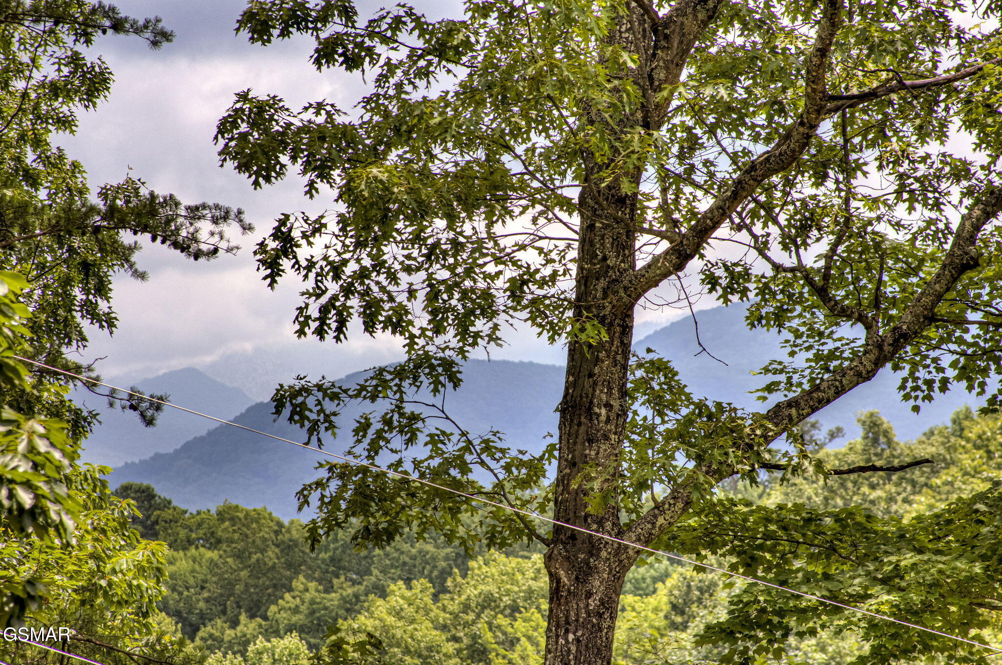 1125 Tanrac Trail Gatlinburg TN 37738