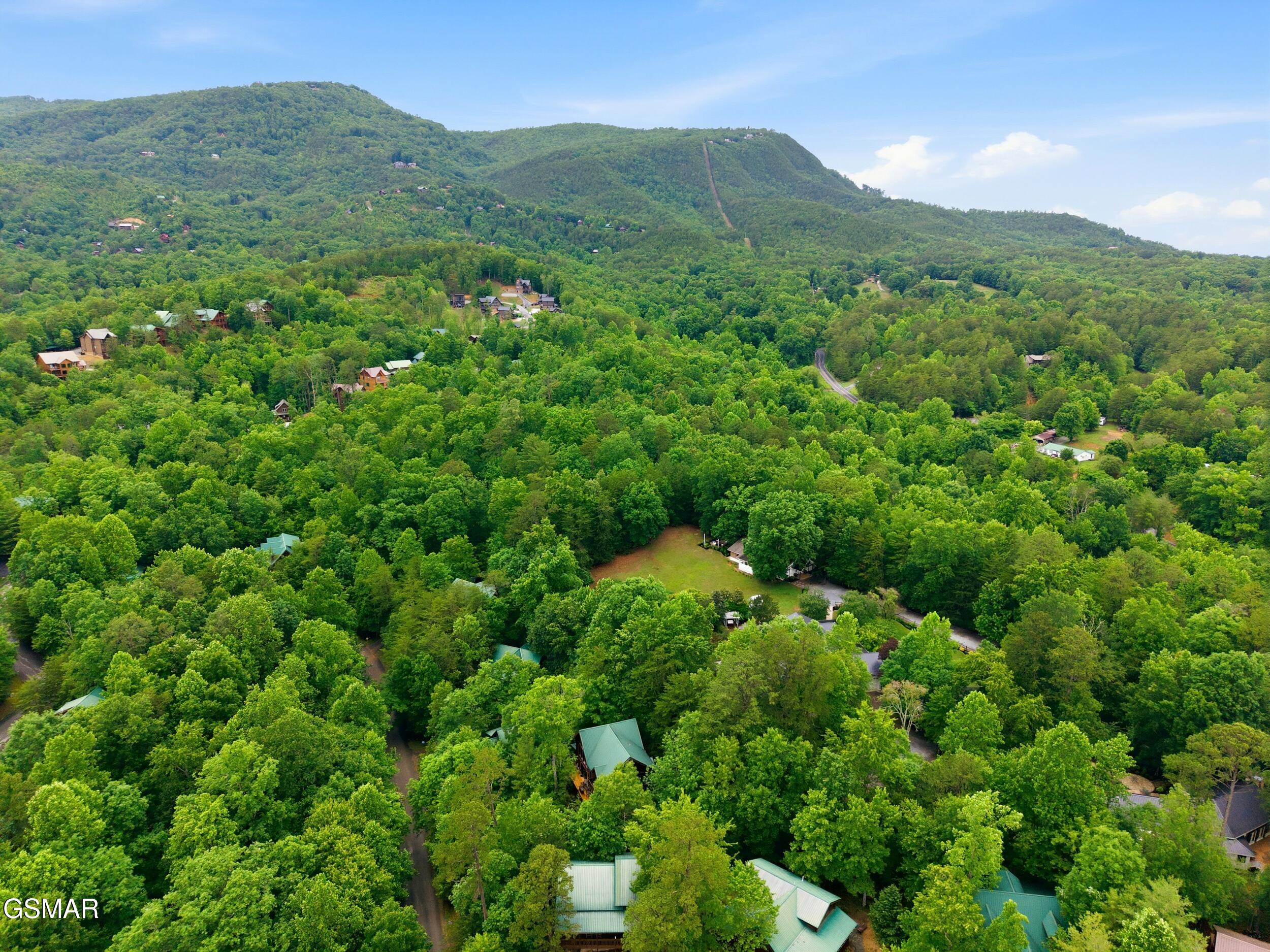 2920 Raven Fork Circle Sevierville TN 37876