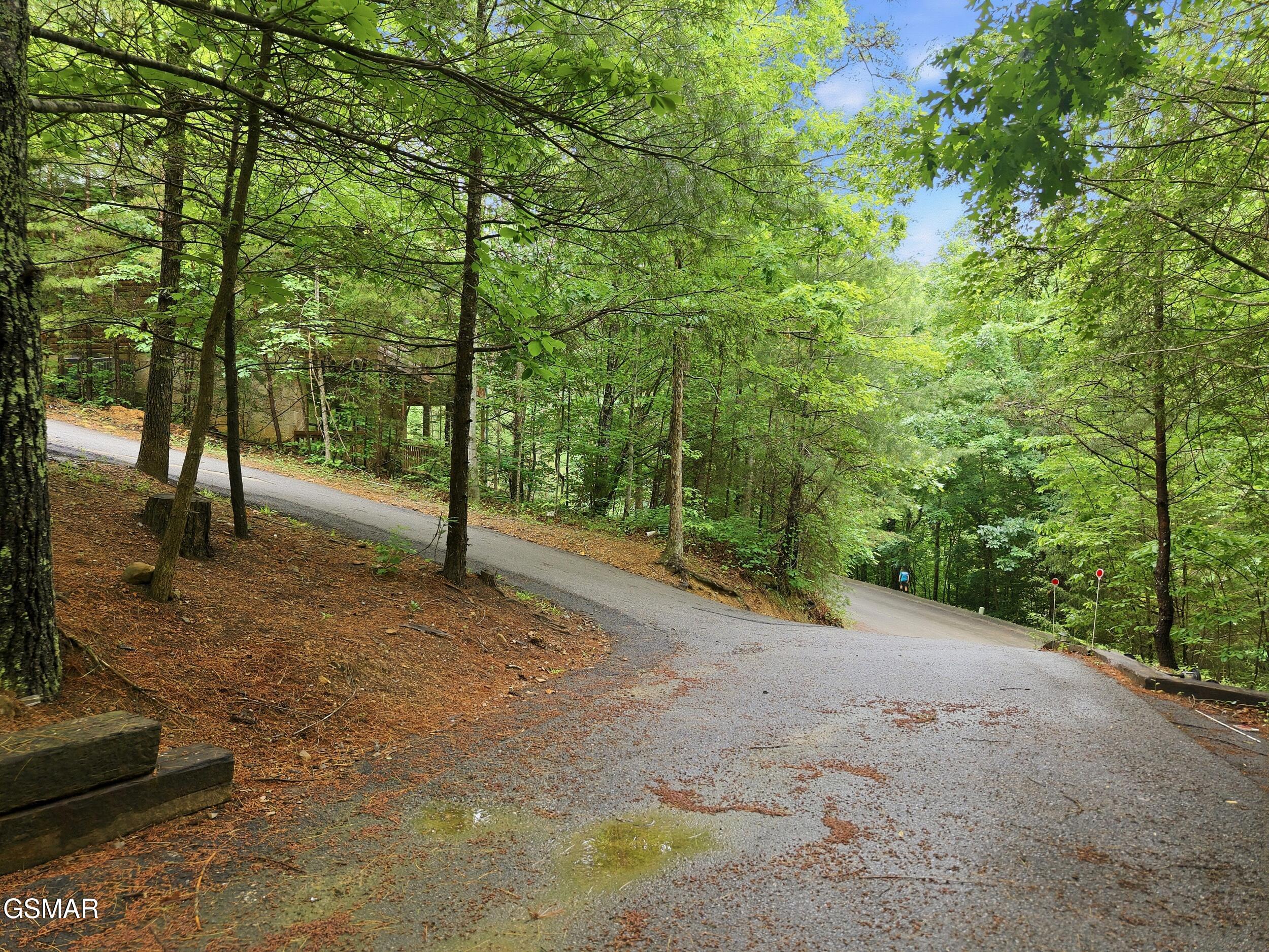 2920 Raven Fork Circle Sevierville TN 37876