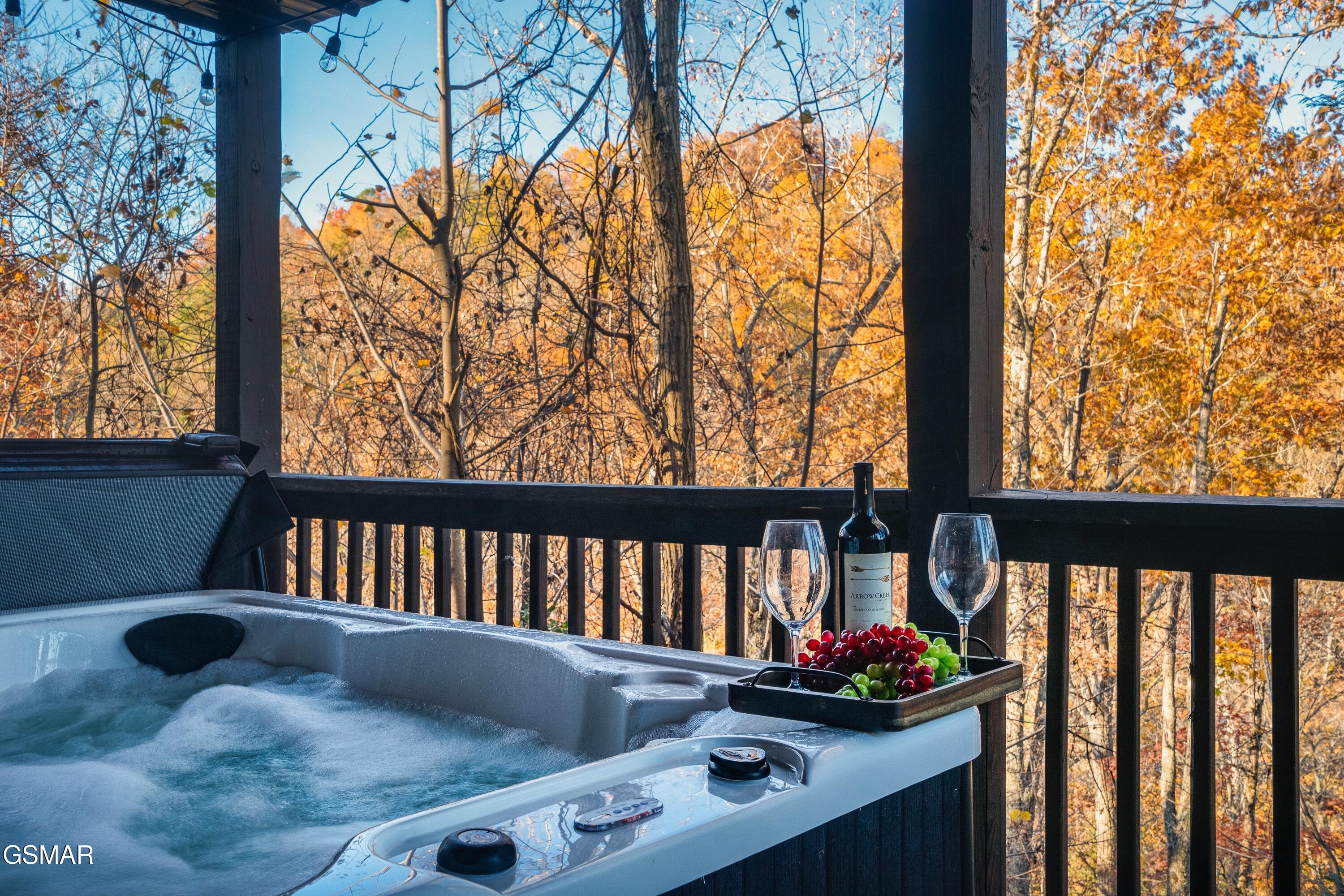 2321 High Top Loop Sevierville TN 37862