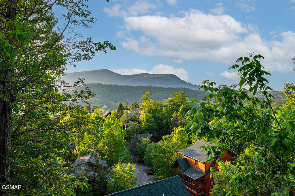 2023 Bear Creek Way Pigeon Forge TN 37862