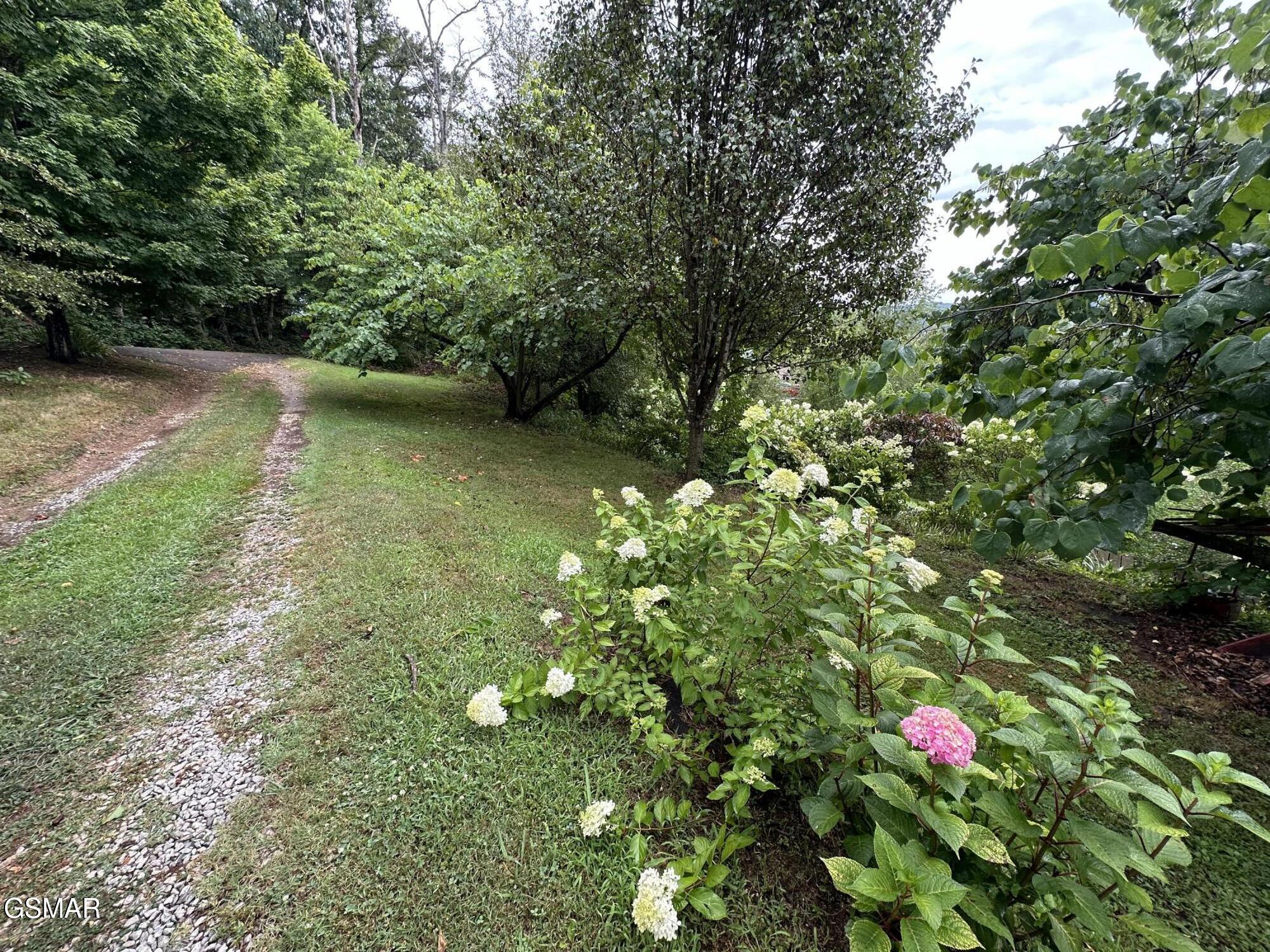 3855 Catewright Road Kodak TN 37764