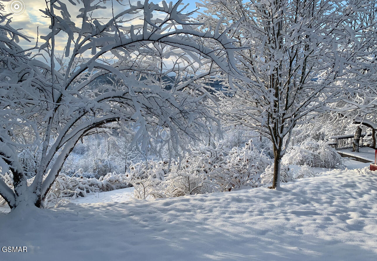 3855 Catewright Road Kodak TN 37764