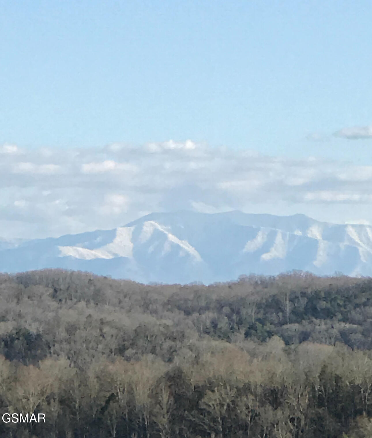 3855 Catewright Road Kodak TN 37764