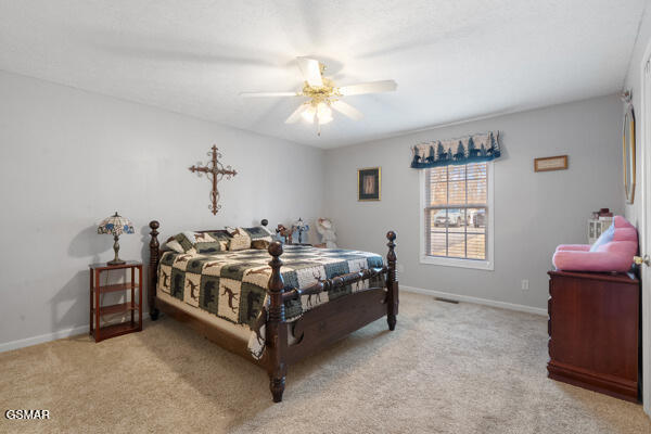 5110 Morganton Road Greenback TN 37742