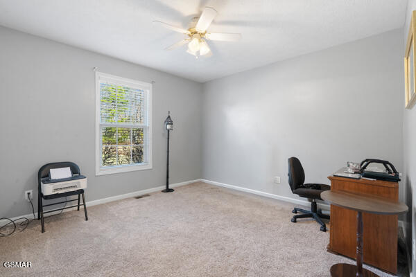 5110 Morganton Road Greenback TN 37742