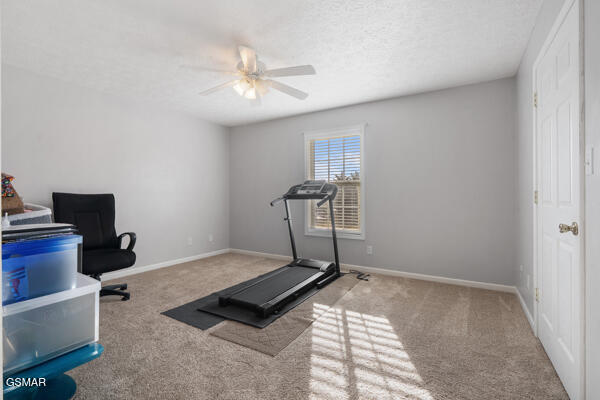 5110 Morganton Road Greenback TN 37742