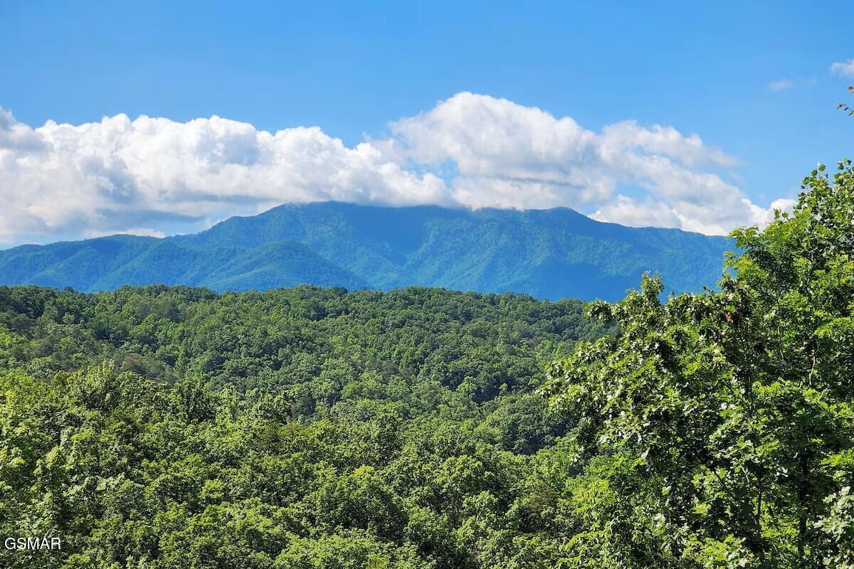 3941 Boogertown Road Sevierville TN 37876