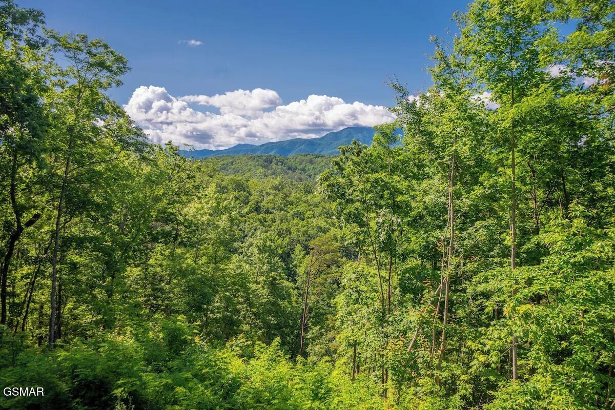 3941 Boogertown Road Sevierville TN 37876