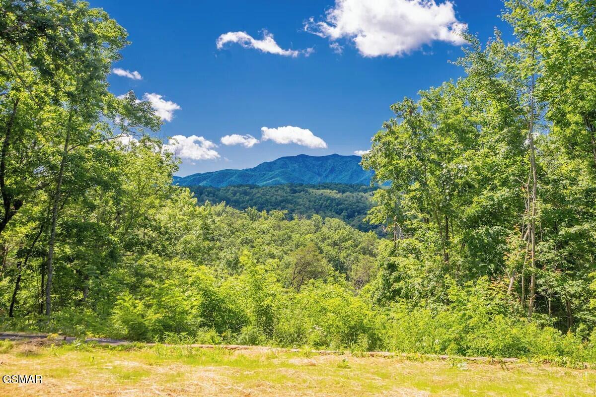3941 Boogertown Road Sevierville TN 37876