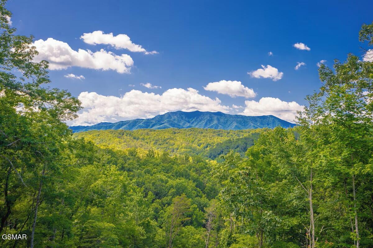 3941 Boogertown Road Sevierville TN 37876