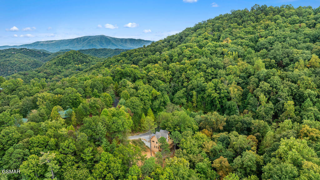 4406 Long Rifle Road Sevierville TN 37862