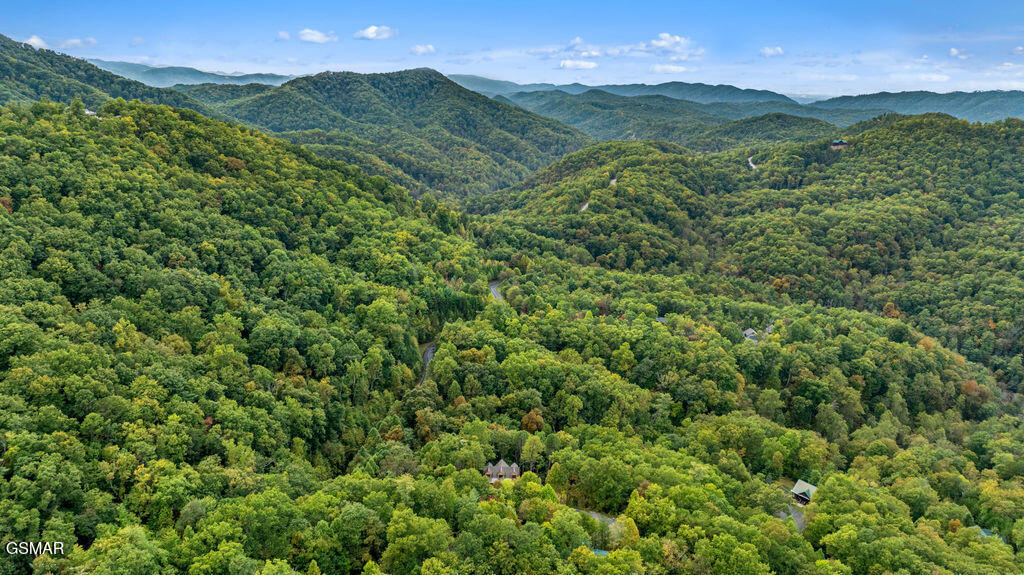 4406 Long Rifle Road Sevierville TN 37862