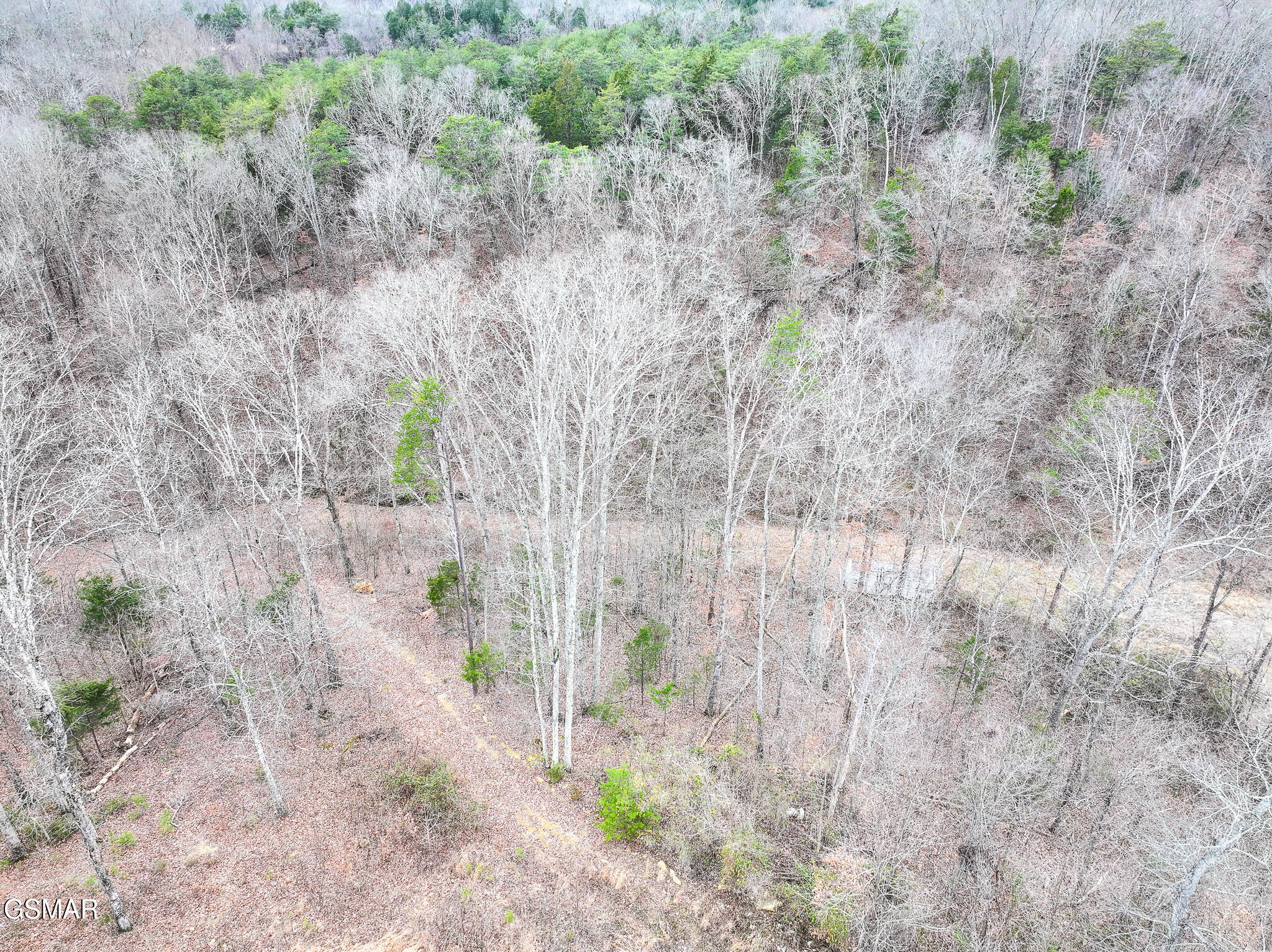 201 Green Road Bulls Gap TN 37711