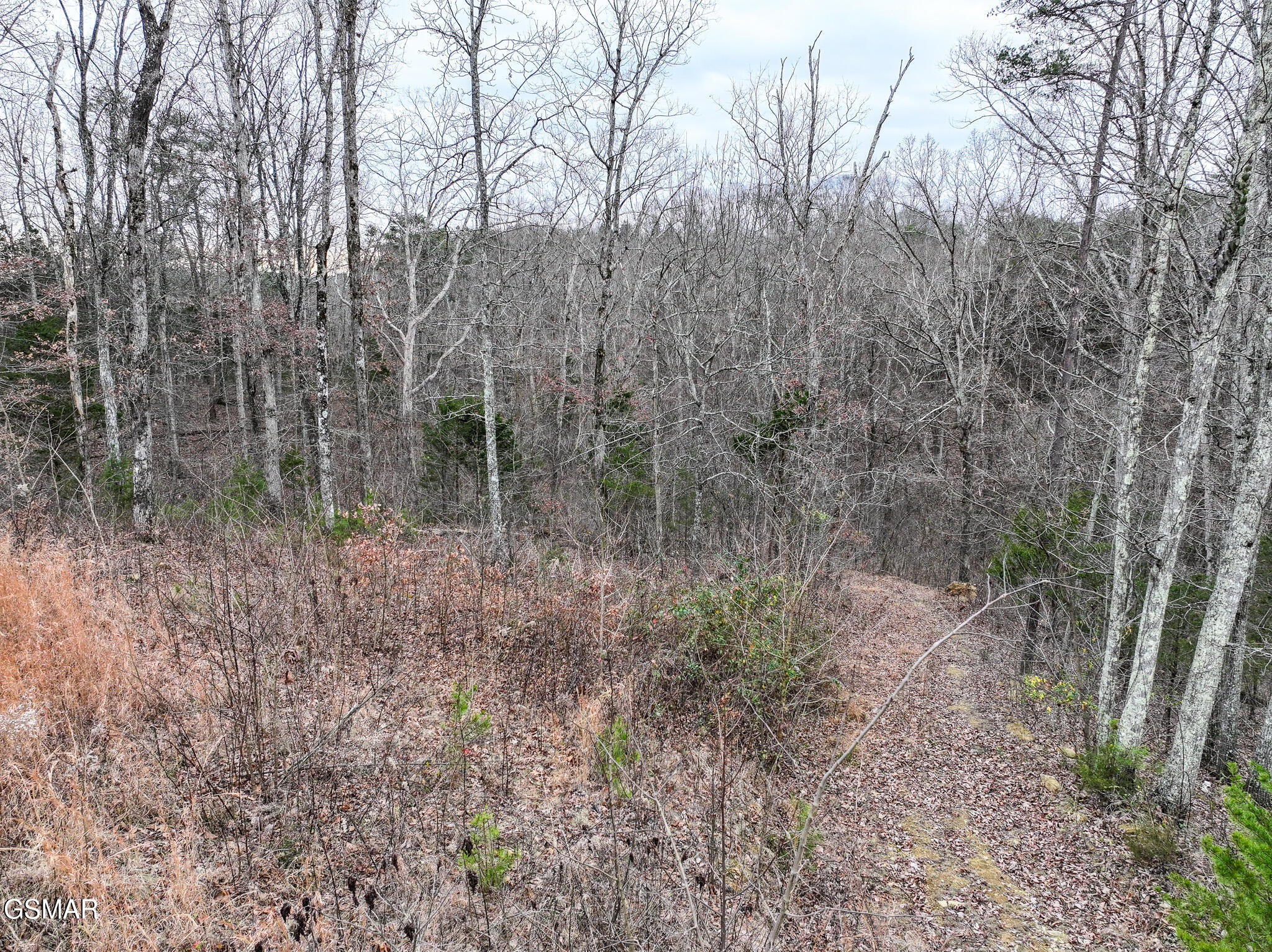 201 Green Road Bulls Gap TN 37711