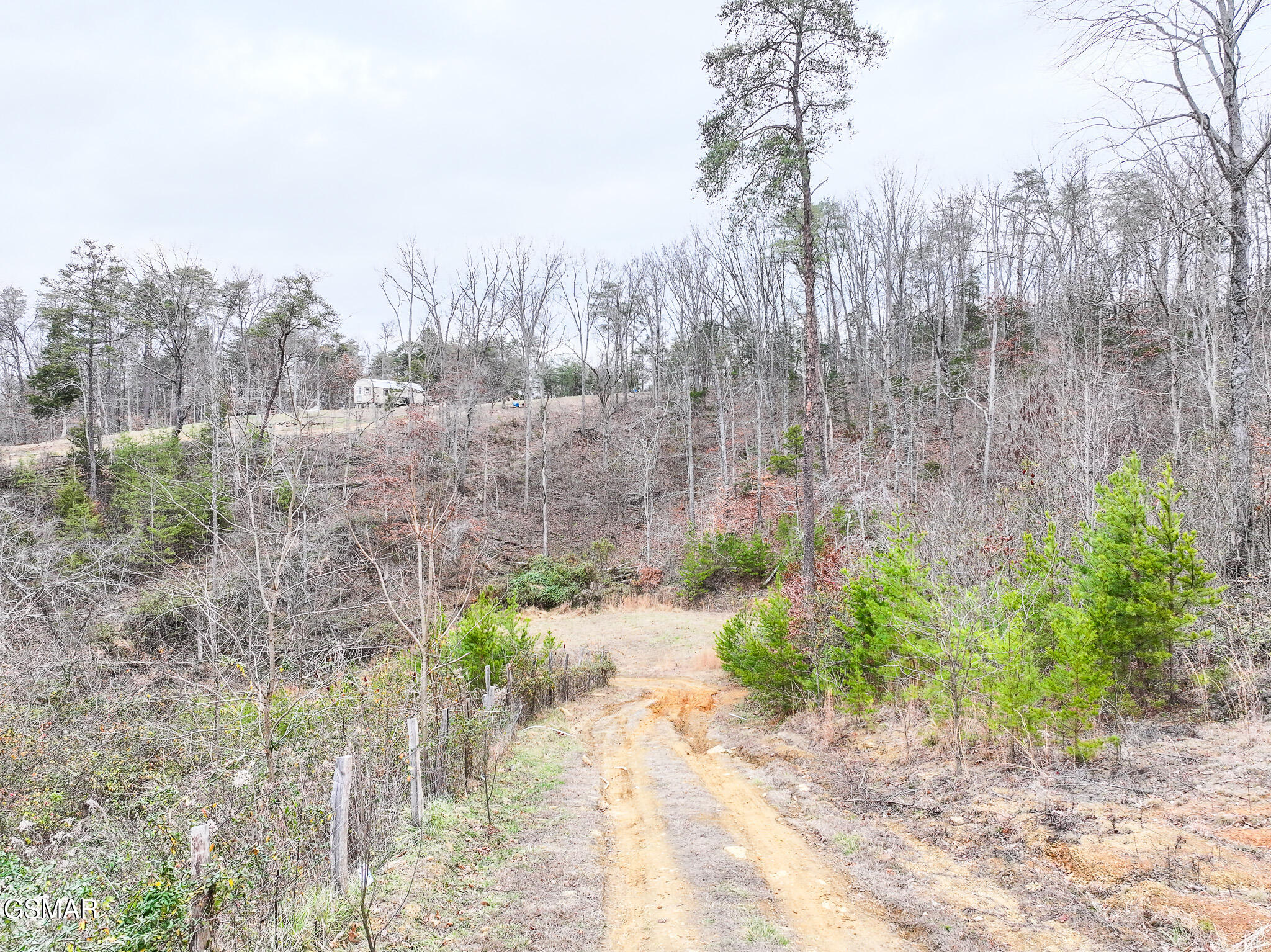 201 Green Road Bulls Gap TN 37711