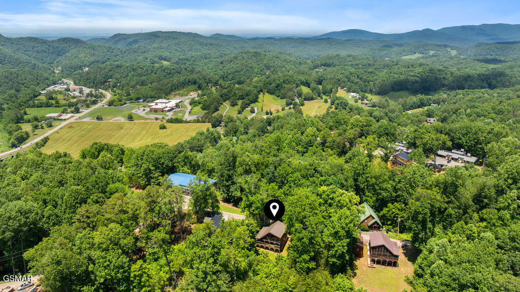 4225 Dollys Drive Sevierville TN 37876