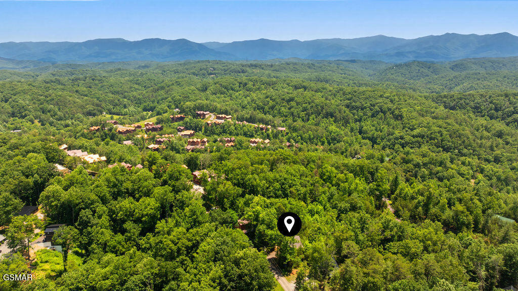 4225 Dollys Drive Sevierville TN 37876