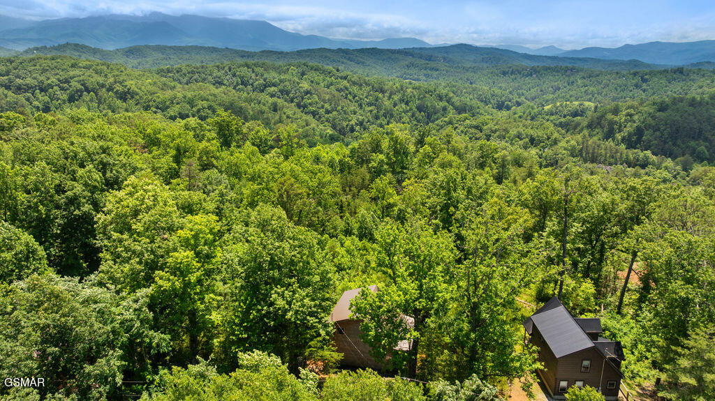 4225 Dollys Drive Sevierville TN 37876