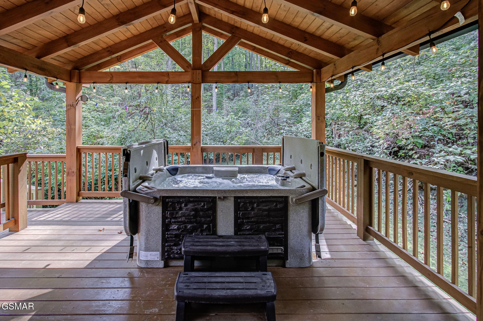 2423 Paradise Falls Way Sevierville TN 37862