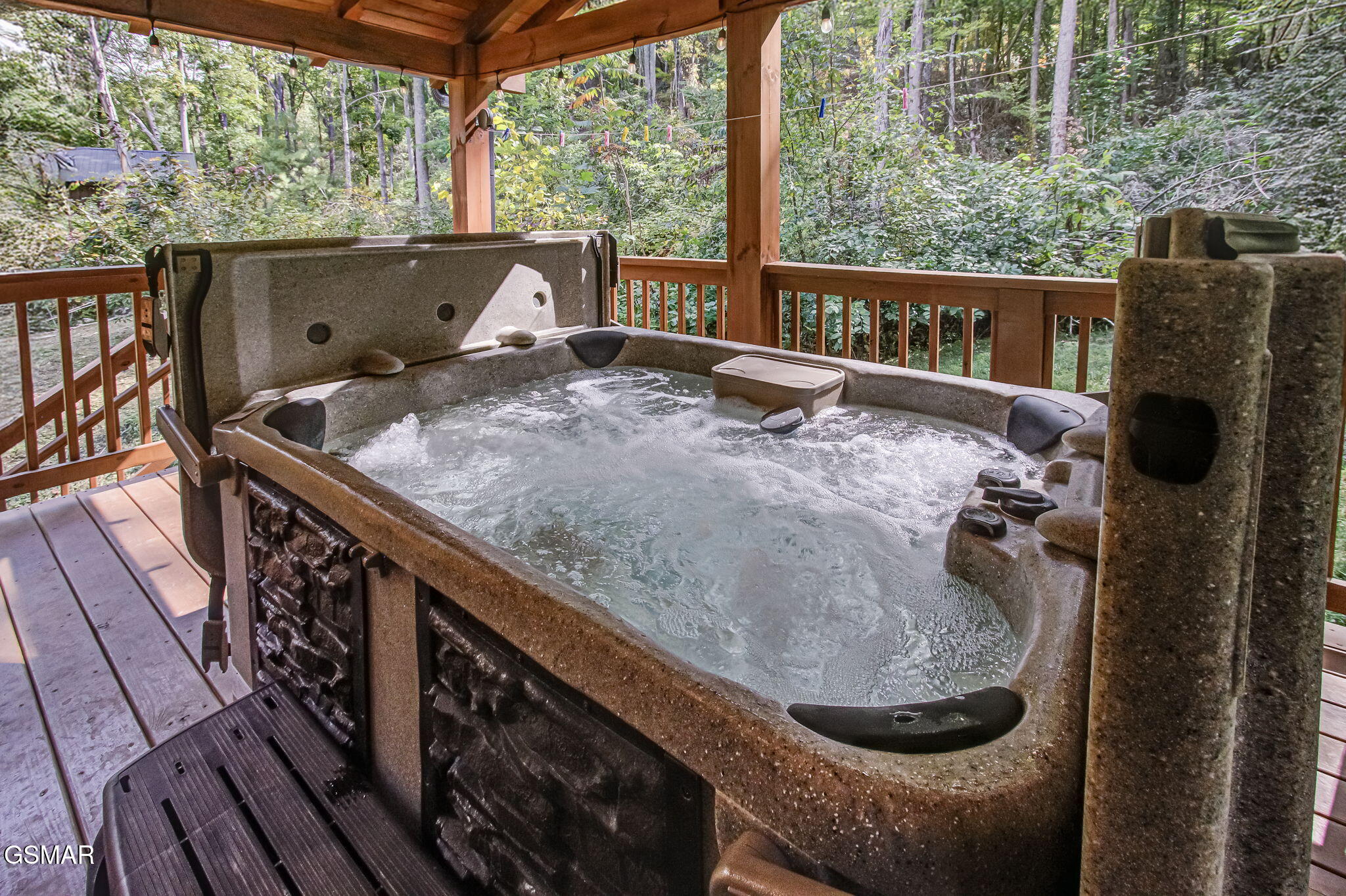 2423 Paradise Falls Way Sevierville TN 37862