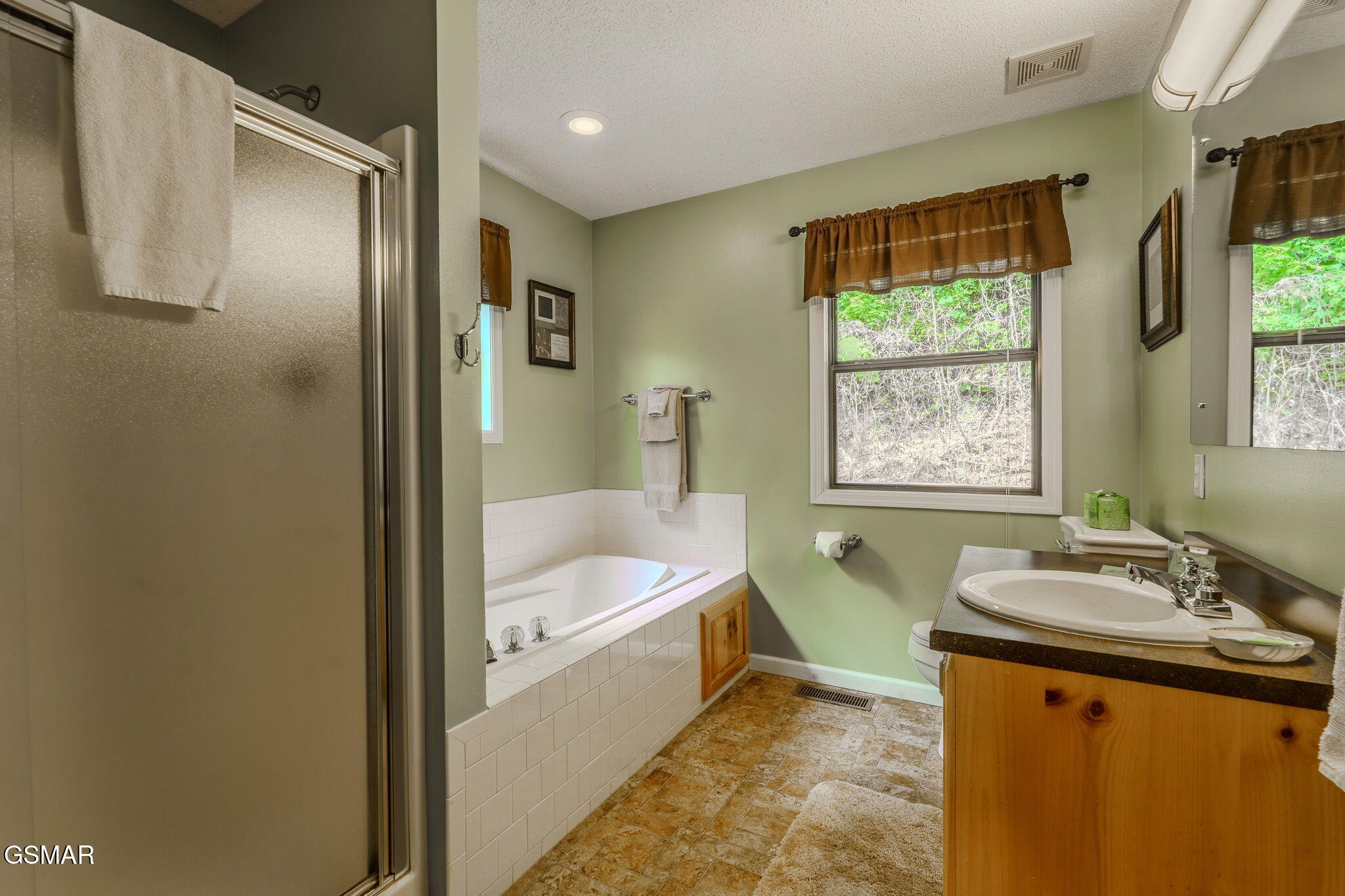 2545 Schisandra Lane Cosby TN 37722