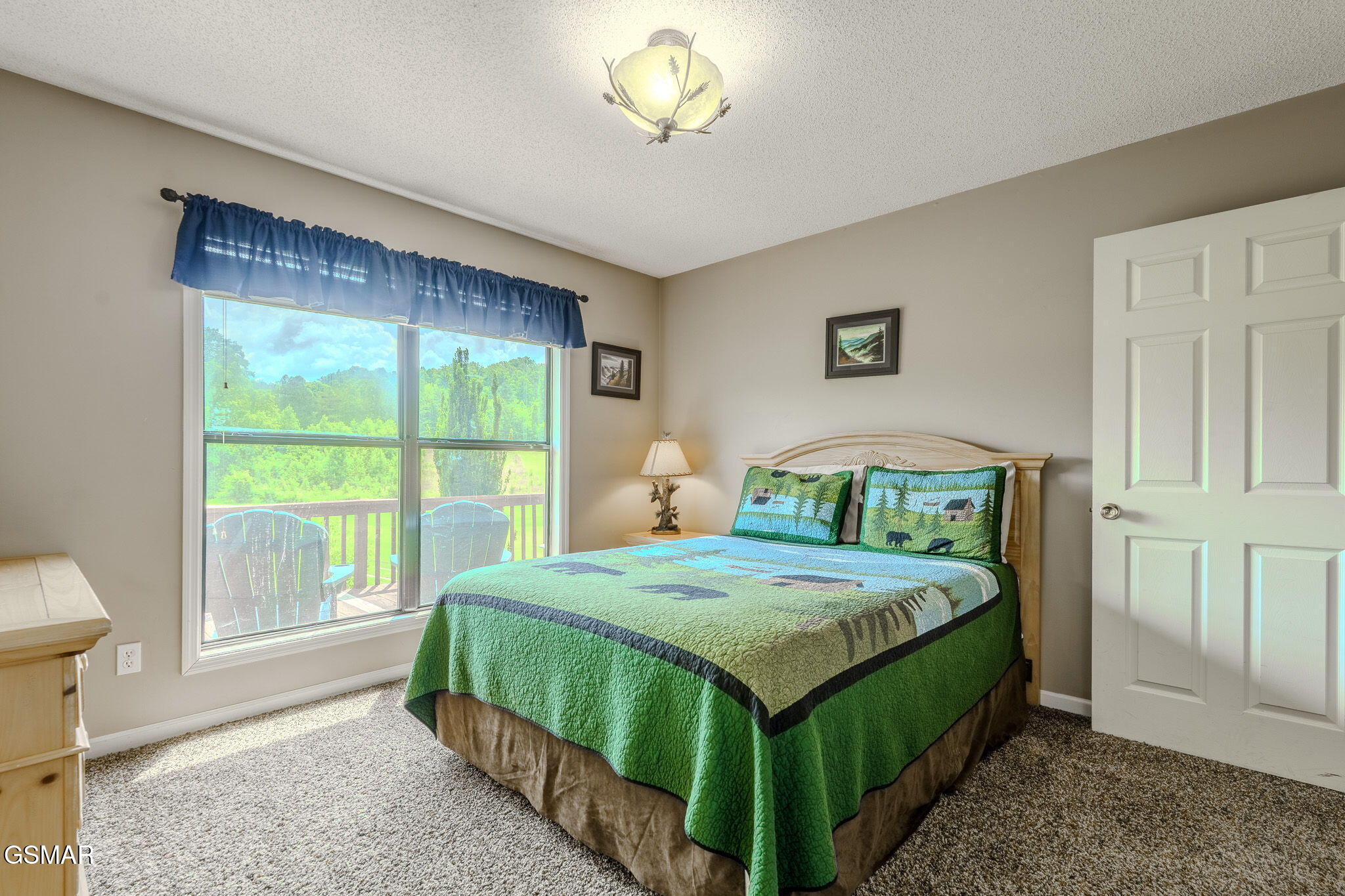 2545 Schisandra Lane Cosby TN 37722
