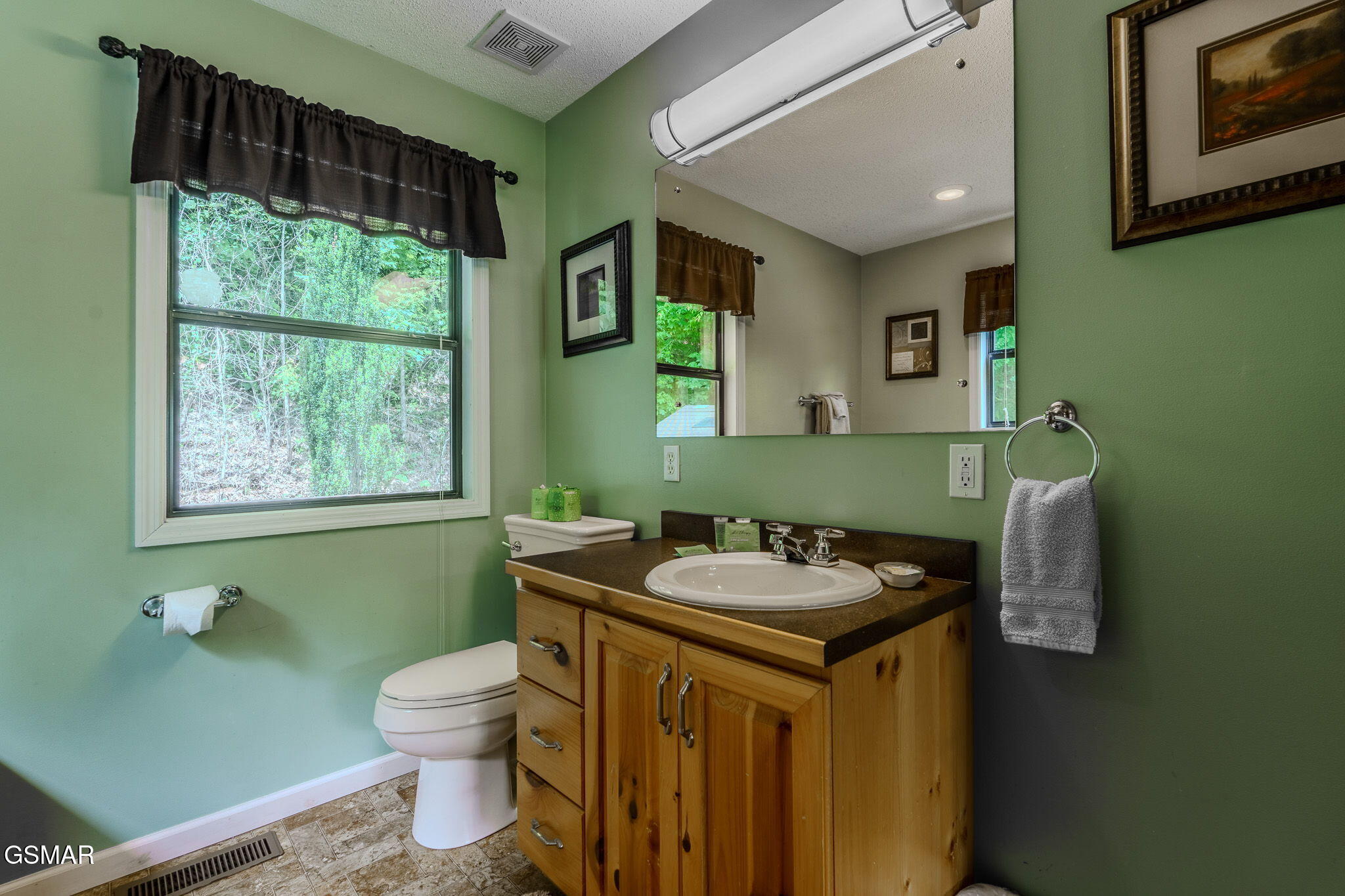 2545 Schisandra Lane Cosby TN 37722