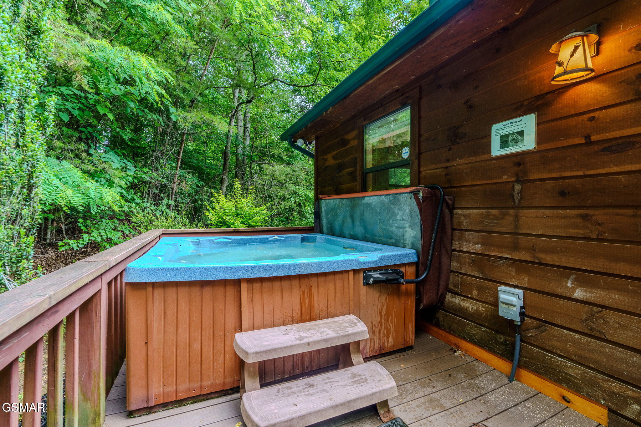 2545 Schisandra Lane Cosby TN 37722
