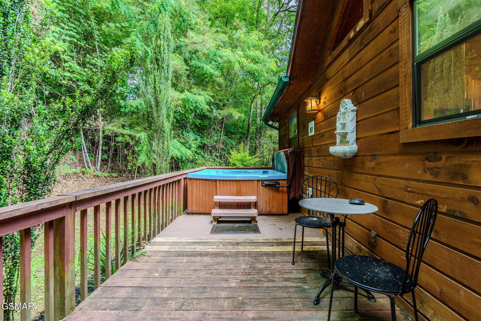 2545 Schisandra Lane Cosby TN 37722
