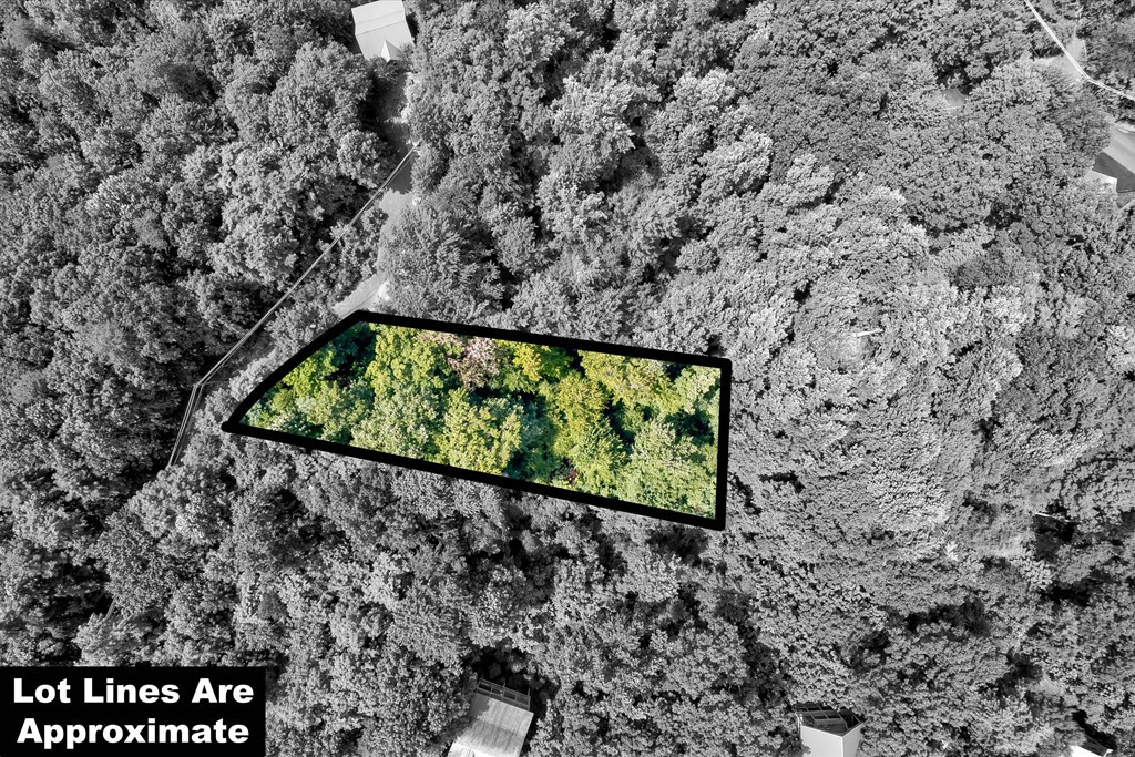 662 Battle Top Road Sevierville TN 37876