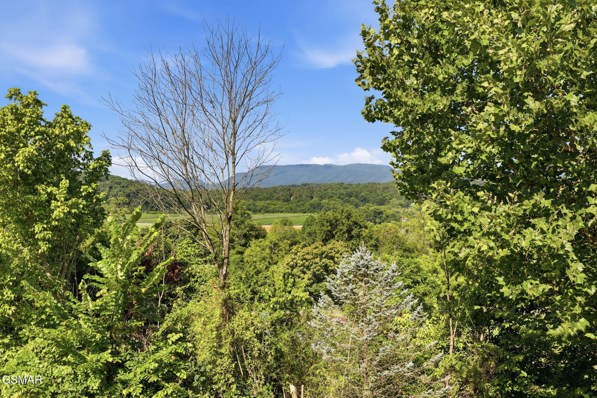 120 Hidden Mountain Way Newport TN 37821
