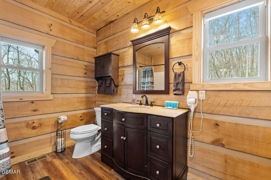 3393 Grand Country Drive Cosby TN 37722