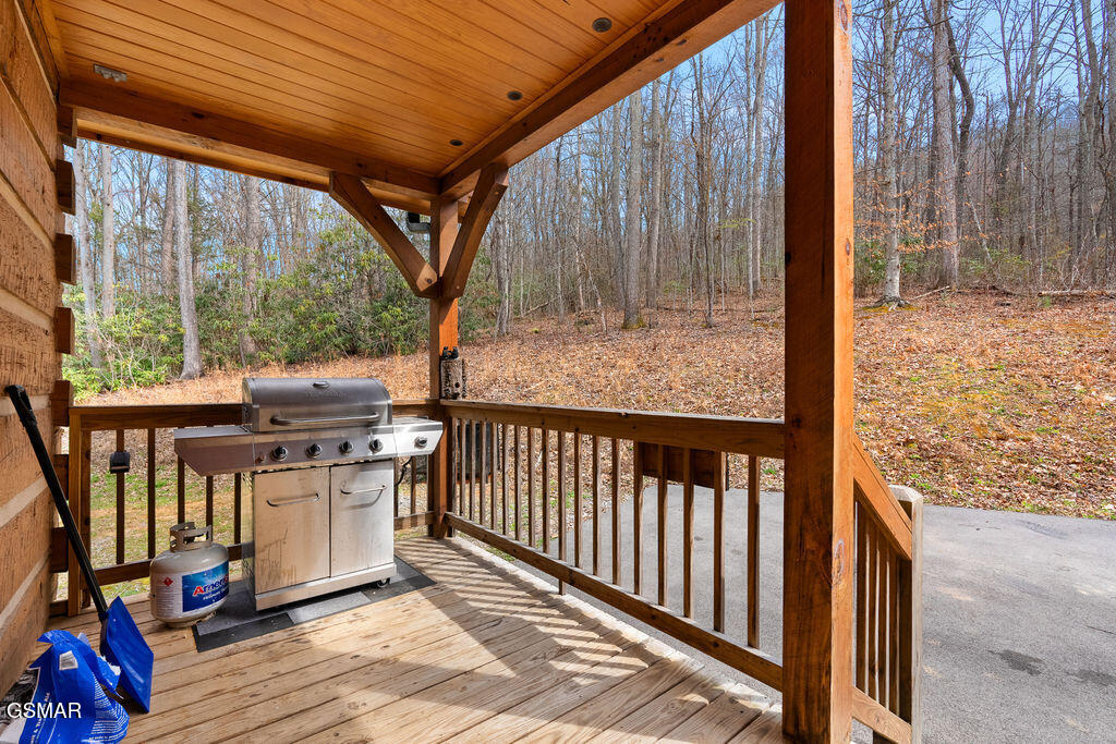 3393 Grand Country Drive Cosby TN 37722
