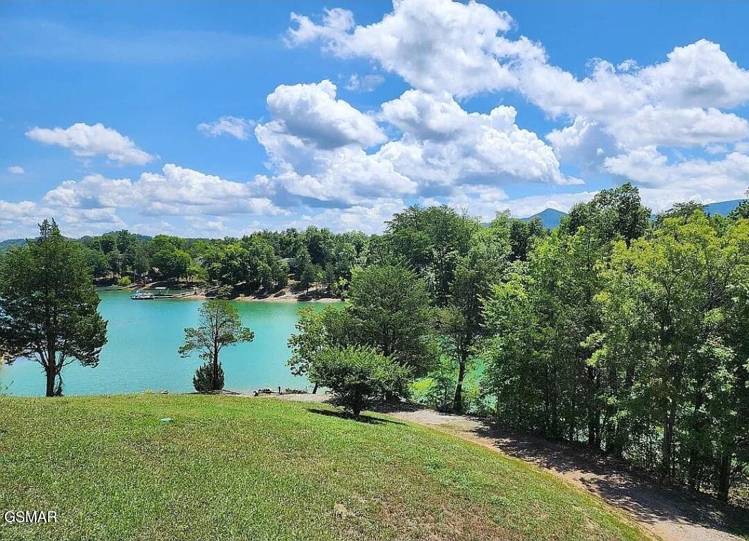 115 Granny Davis Way Dandridge TN 37725