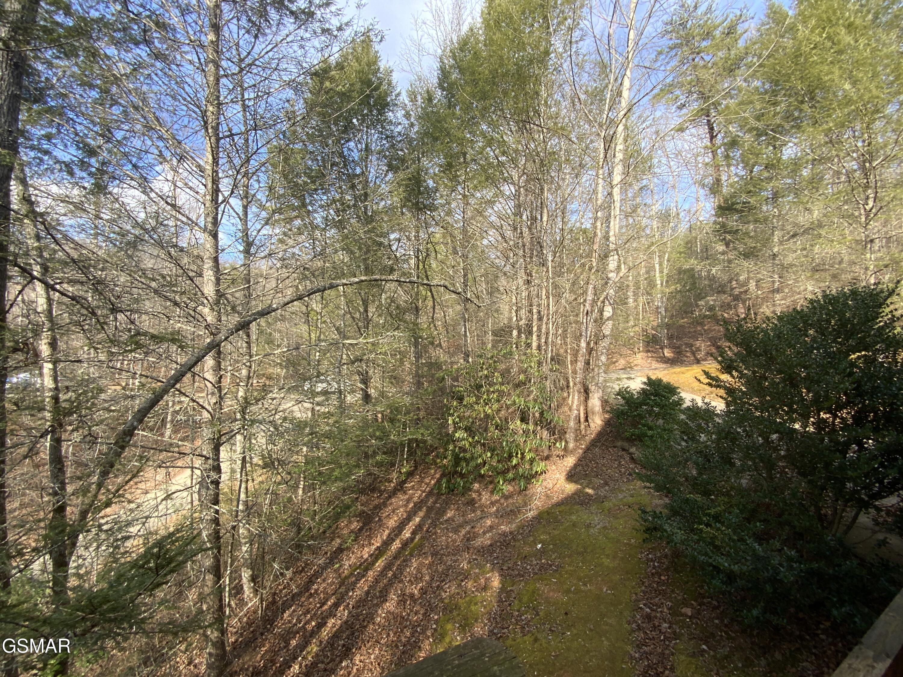 2034 Bales Way Sevierville TN 37876