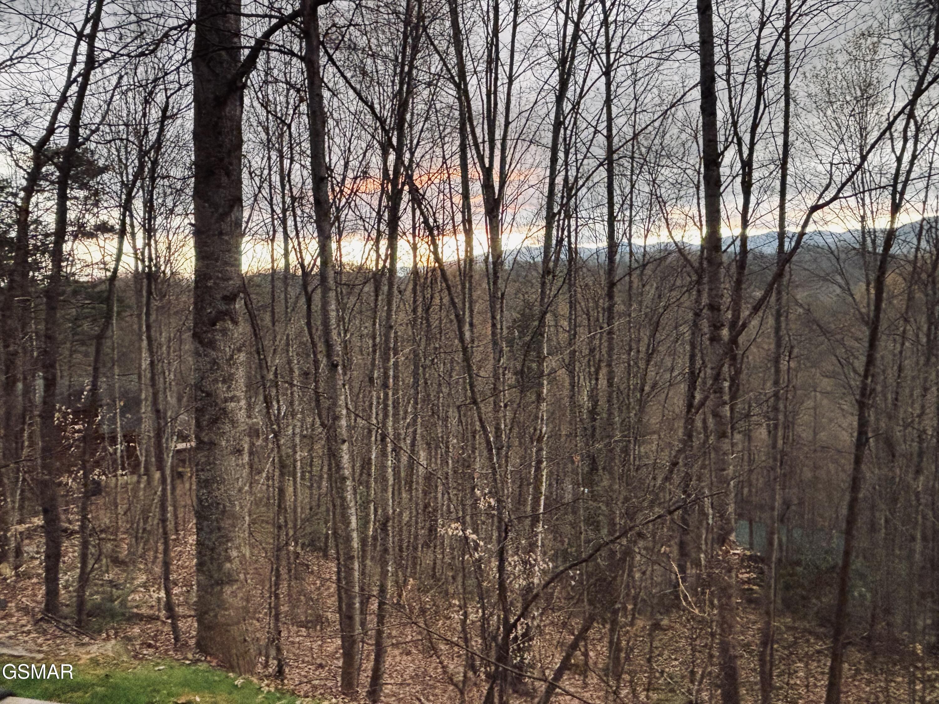 459 Sugar Mountain Way Pigeon Forge TN 37863