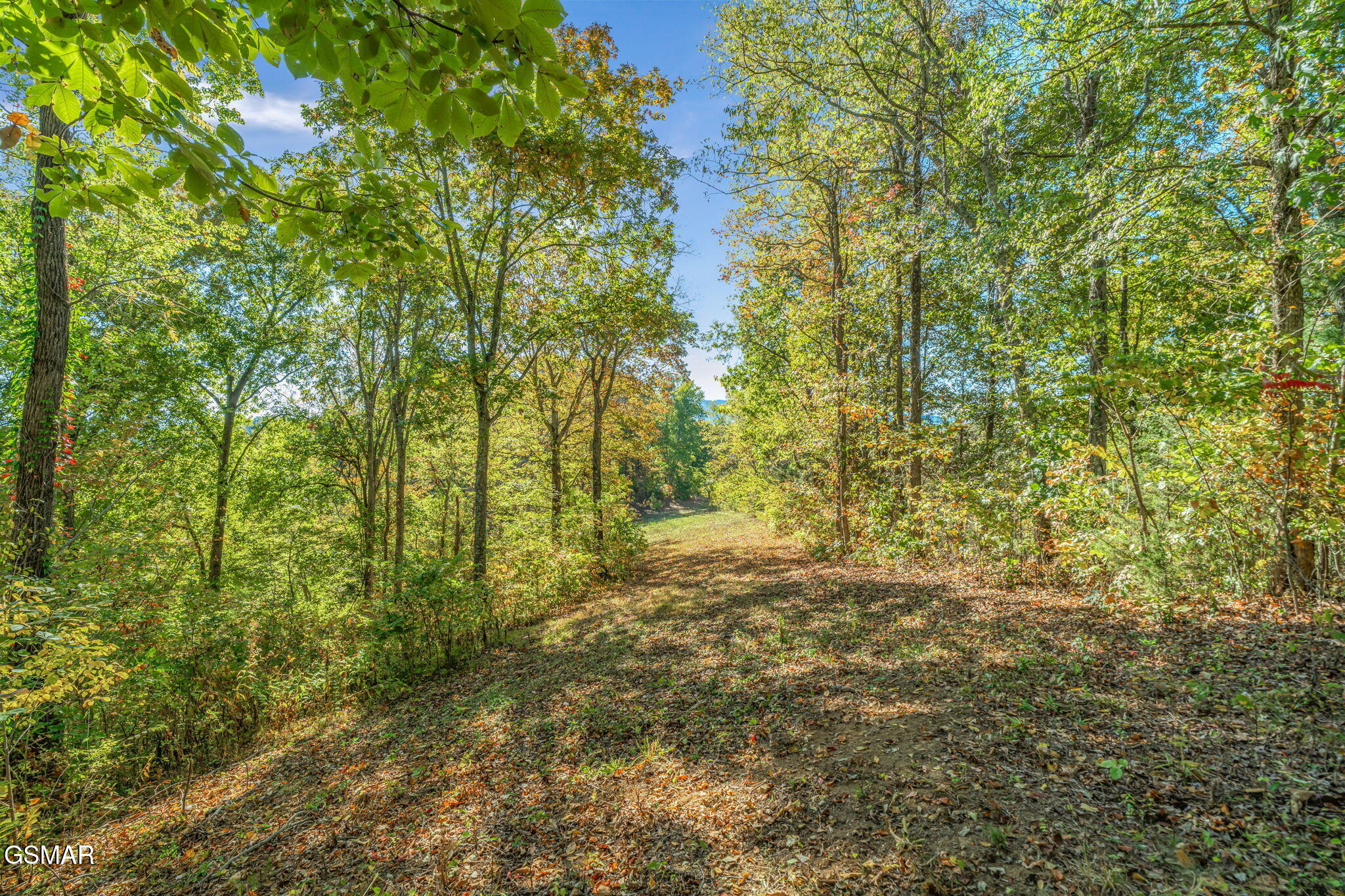 858 N Shiloh Road Seymour TN 37865
