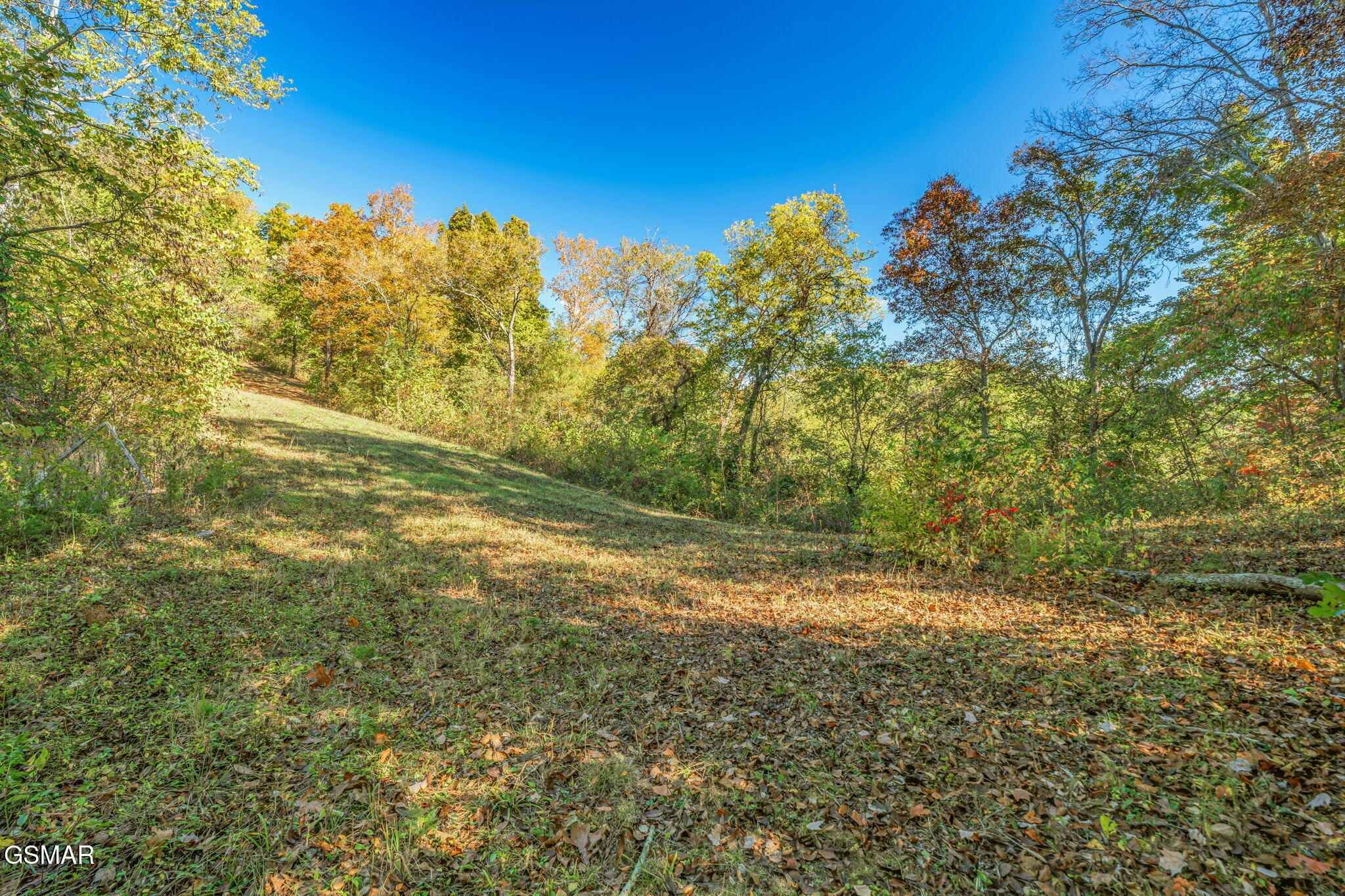 858 N Shiloh Road Seymour TN 37865