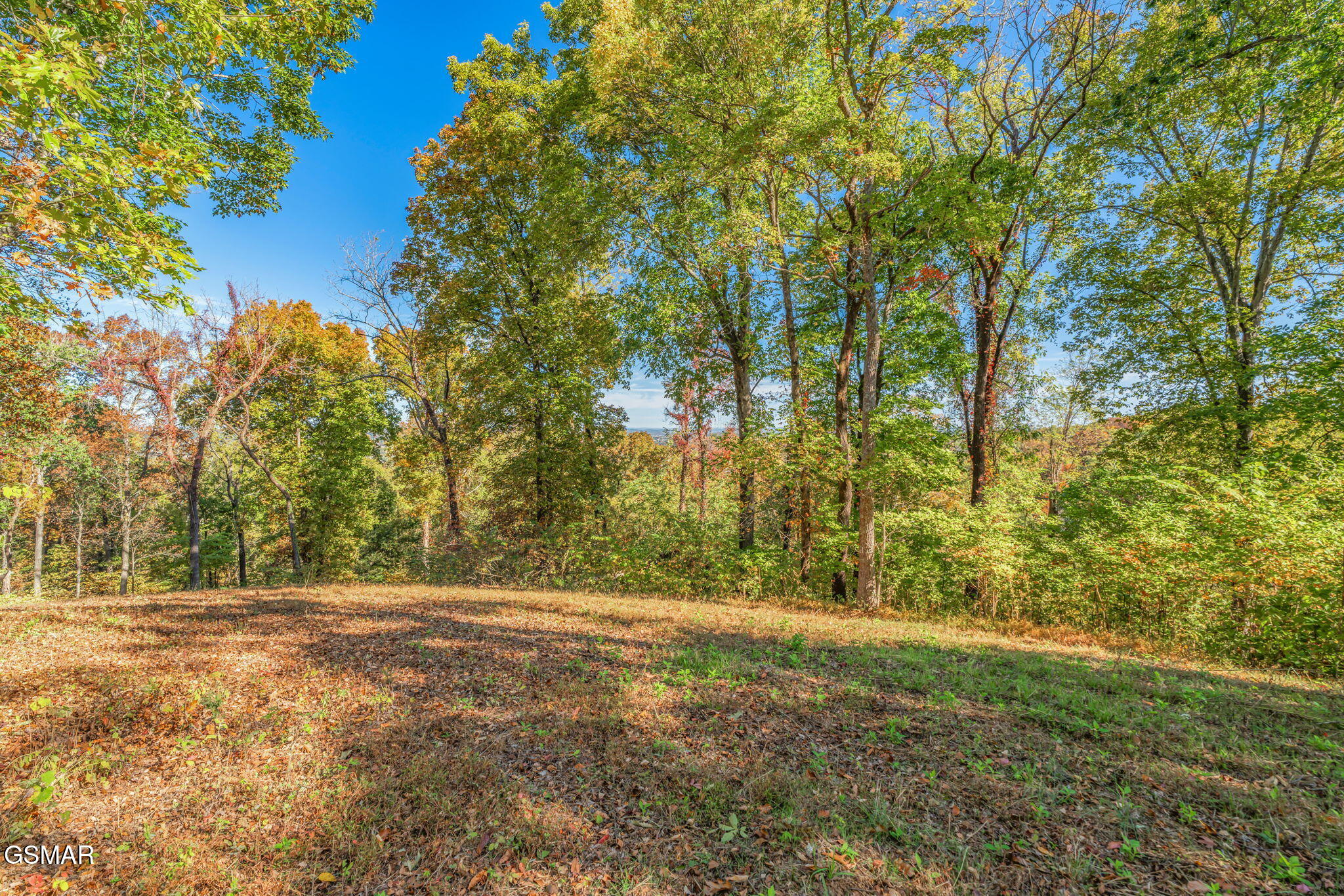 858 N Shiloh Road Seymour TN 37865