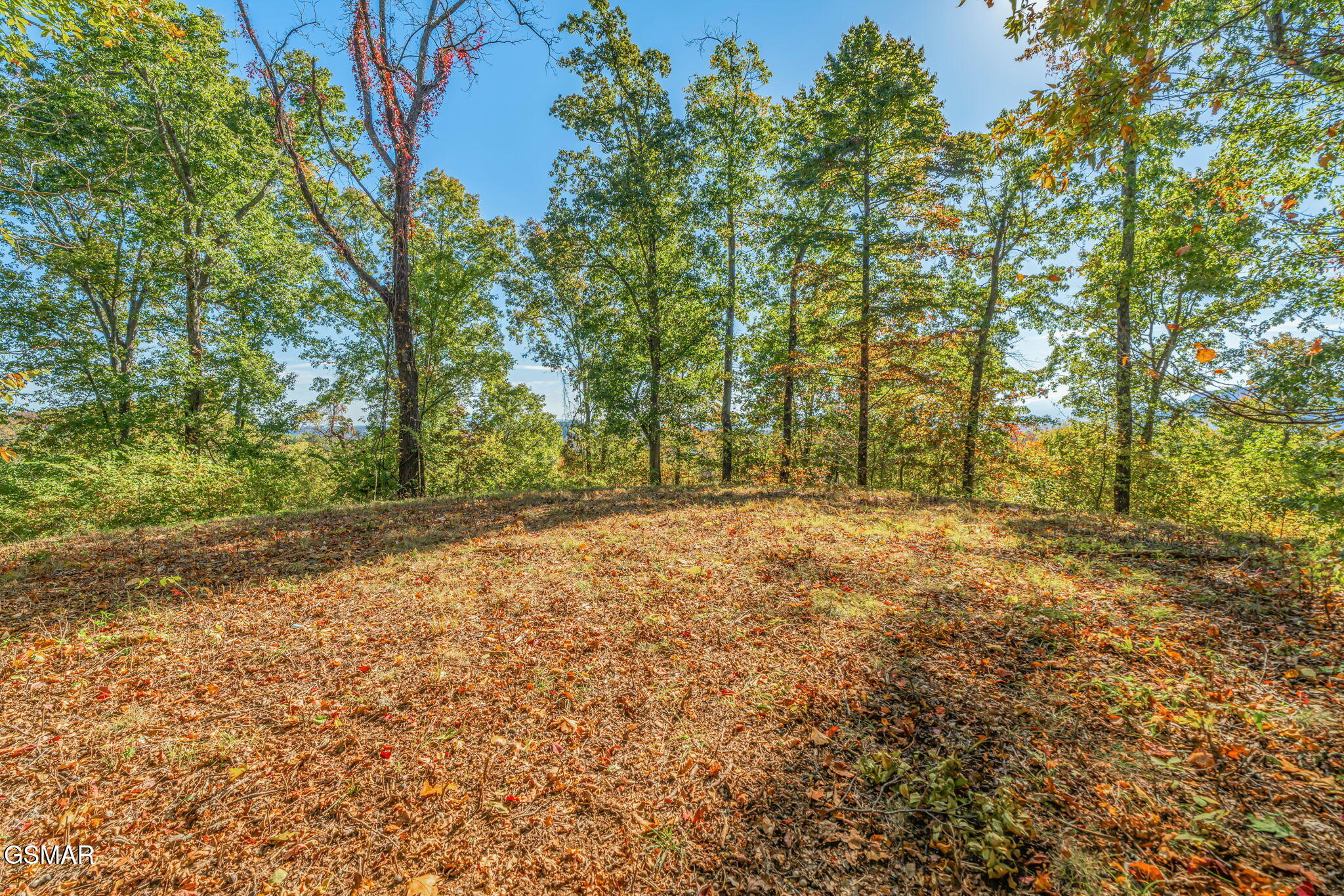 858 N Shiloh Road Seymour TN 37865