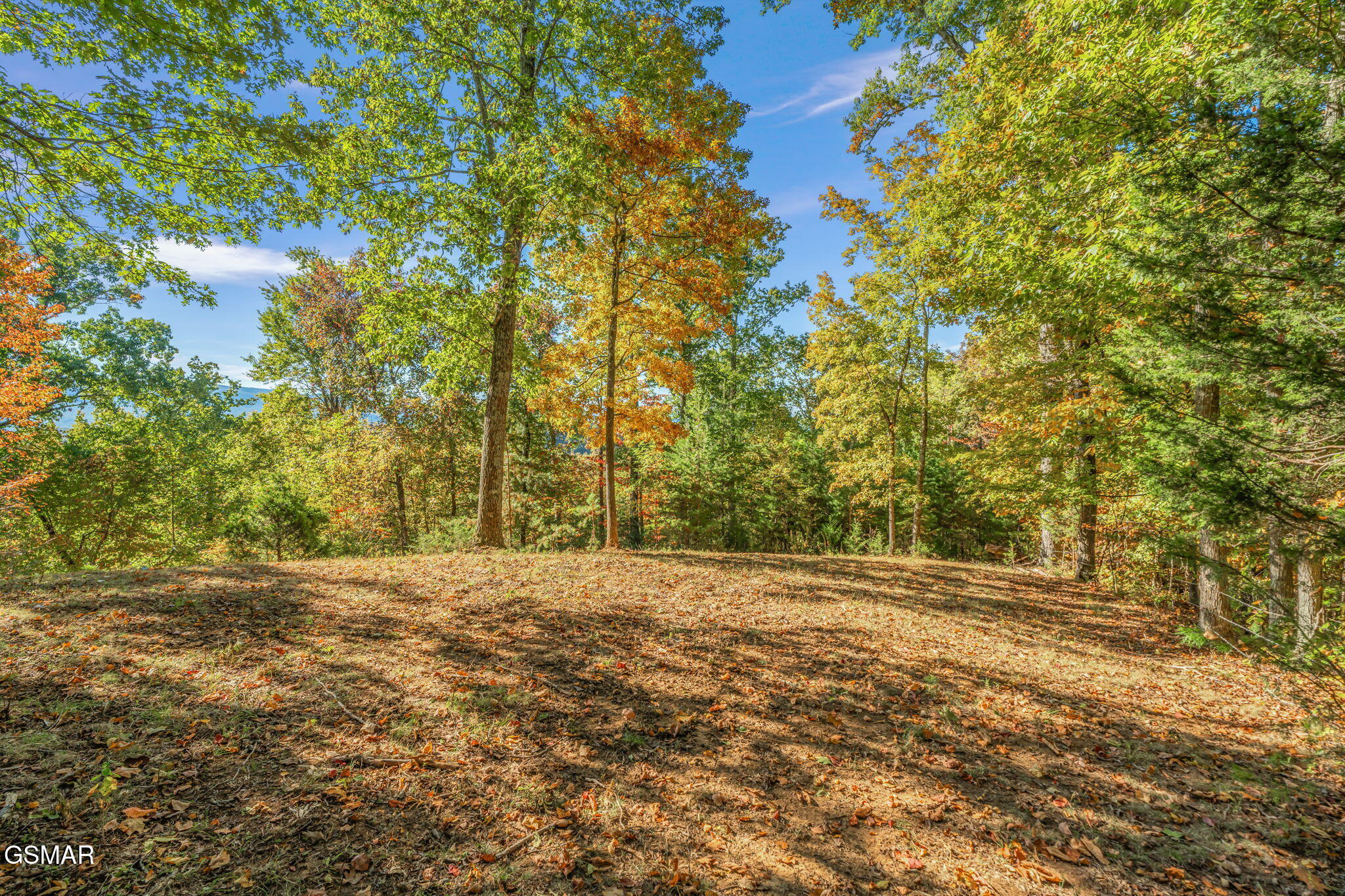 858 N Shiloh Road Seymour TN 37865